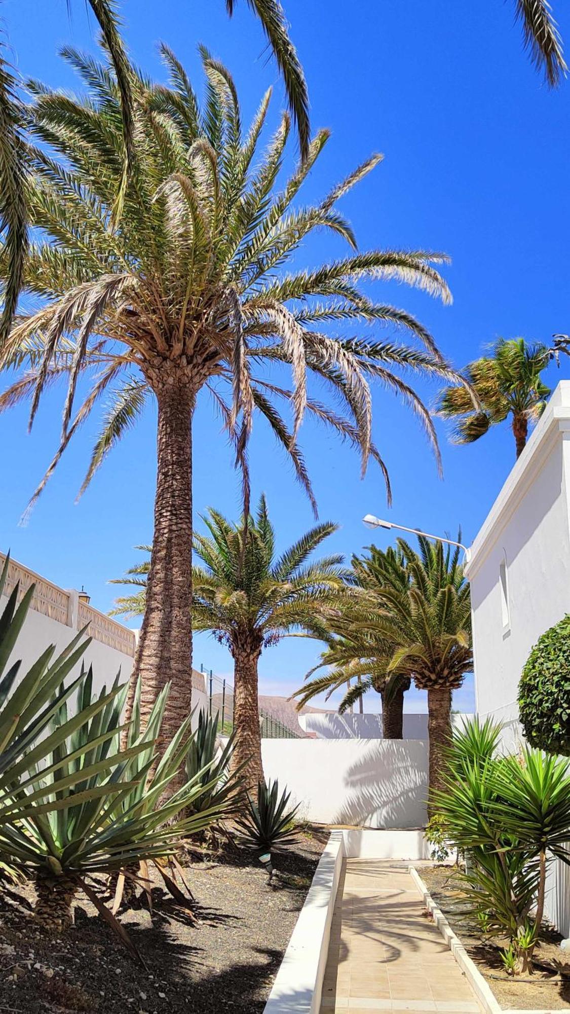 Momis House Corralejo Dunas By Momifuerteventura Коральео Экстерьер фото